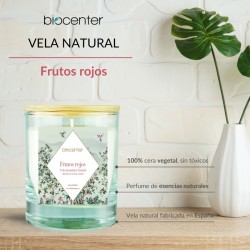 VELA DE CERA DE SOJA FRUTOS...
